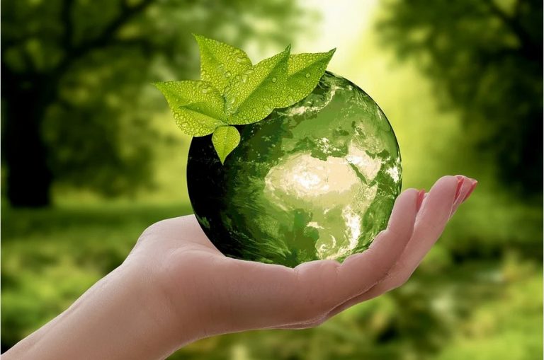 Crise climática: o que cada um de nós pode fazer para minimizá-la