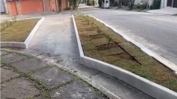SAAP pretende ampliar canteiros com jardins em Alto dos Pinheiros