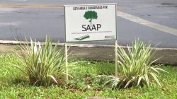 Relatório resume atividades da SAAP em 2021