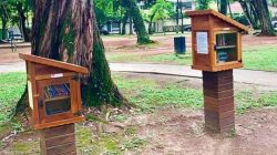 Vamos usar melhor as casinhas de livros do nosso bairro?