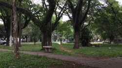 Inspirada por escotismo, empresa adota praça Ernani Braga